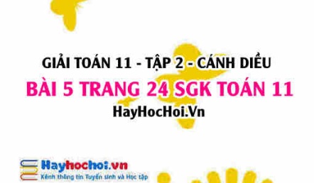 Bài 5 trang 24 Toán 11 tập 2 Cánh Diều